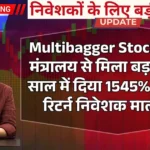 Multibagger Stock